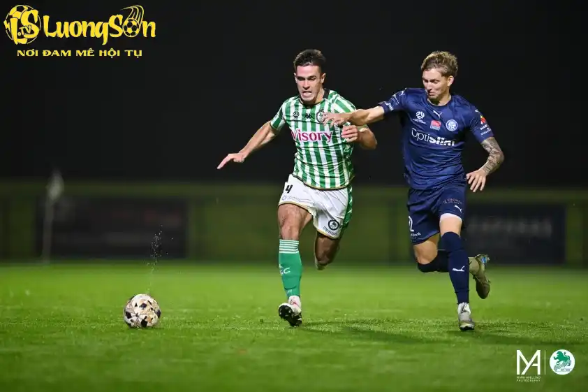 Nhận Định Trận Đấu Melbourne Knights và Green Gully Cơ Hội Nào Cho Đội Chủ Nhà? 2 Green Gully được dự đoán sẽ có chiến thắng nhọc nhằn trên sân Melbourne Knights
