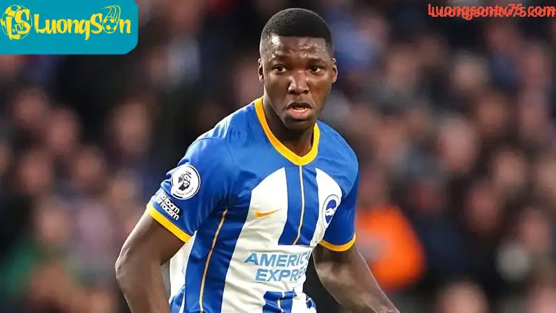 Moises Caicedo trong màu áo của Brighton Moises Caicedo trong màu áo của Brighton