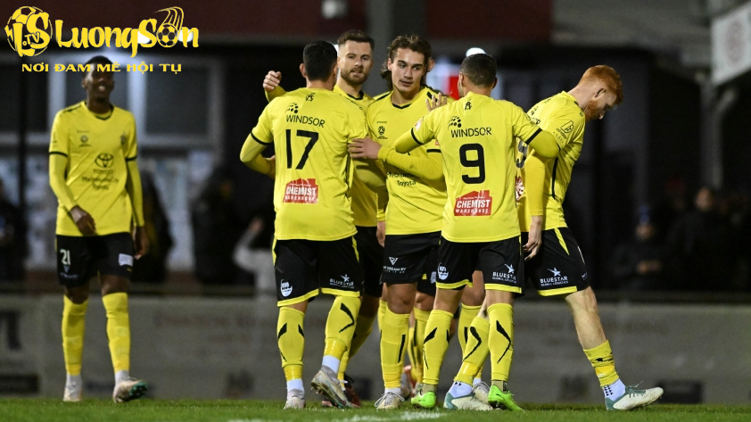 processed heidelberg united 175006avatar