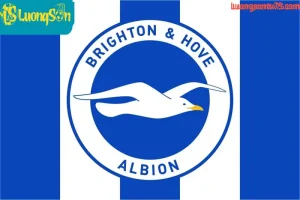 tong quan ve brighton